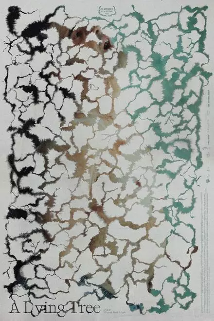 A Dying Tree