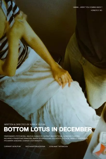 Bottom Lotus In December