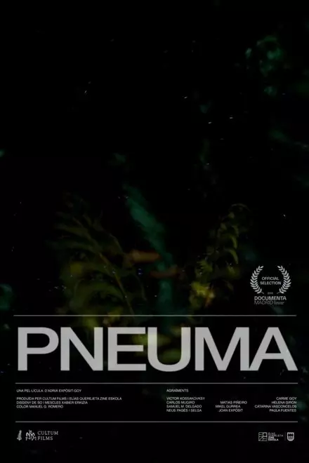 Pneuma
