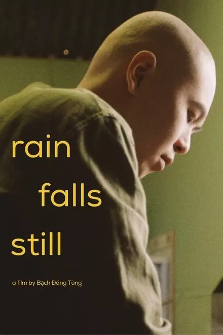 Rain Falls Still