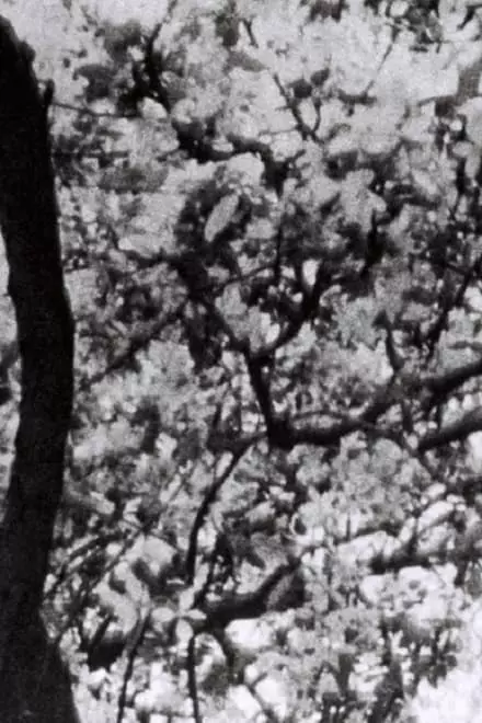 This is for Jonas Mekas