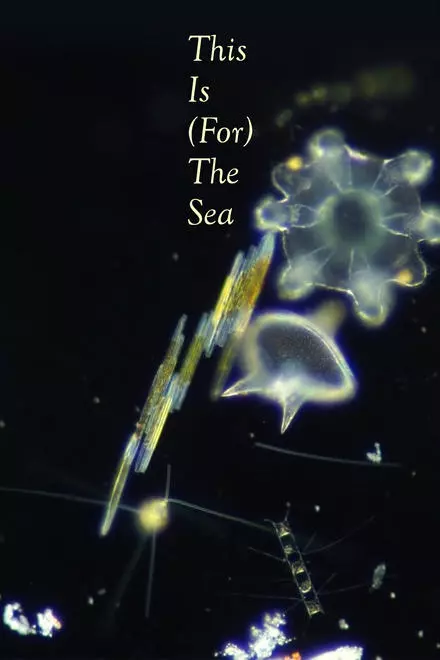This Is (For) The Sea