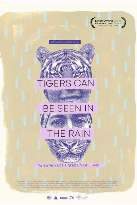 TIGERS CAN BE SEEN IN THE RAIN